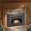 Gas fireplace insert in home living room